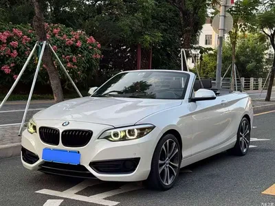 2019 BMW 2 Series (Import) 225i Convertible Coupe Sport Design Package, фото 2, лот 11585053