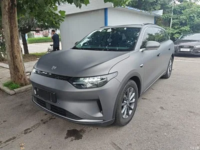 2021 Leapmotor C11 Luxury Edition, фото 1, лот 10441574