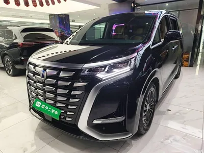 2022 Denza D9 DM-i 1040 Premium, фото 1, лот 10346786