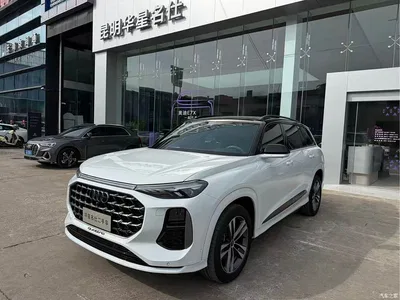 2023 Audi Q6 45 TFSI quattro Uniform Clouds Flying Rider Package, фото 4, лот 10233370