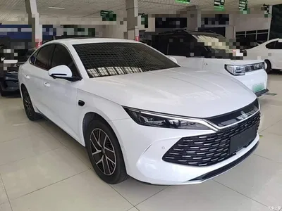 2025 BYD Qin L DM-i Smart Drive Edition 120KM Surpassing, фото 4, лот 11188816