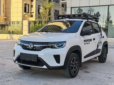 2021 Dongfeng Yipai Dongfeng Nano EX1 Quality Action Edition, фото 1, лот 10411915
