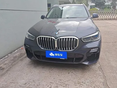 2020 BMW X5 (Import) xDrive40i M Sport Package, фото 2, лот 11520192