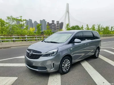 2020 Buick GL8 Model Land Business Class 652T Comfort, фото 1, лот 10262262