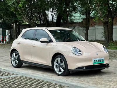 2023 Ora Good Cat 401km Standard Range Luxury LFP, фото 2, лот 10332206