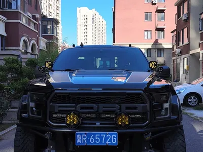 2019 Ford F-150 Raptor 3.5T Raptor Performance Enhanced Edition, фото 2, лот 10384252