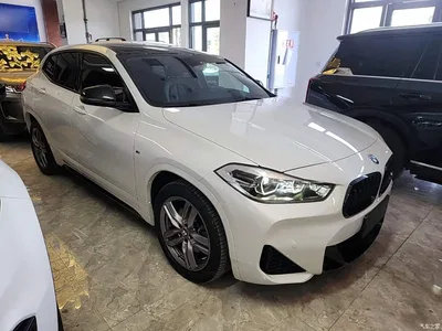 2021 BMW X2 Facelift sDrive25i M Sport Package, фото 4, лот 10475503