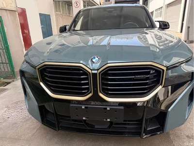 2023 BMW XM Model Base, фото 1, лот 10477202