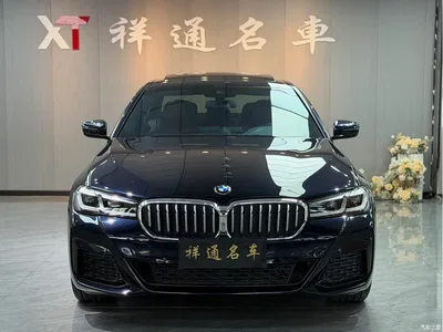 2022 BMW 5 Series Facelift 530Li Leading M Sport Package, фото 2, лот 10769201
