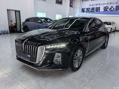 2023 Hongqi H5 1.5T DCT Smart Connect Joy Edition, фото 1, лот 10289049