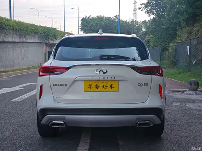 2024 Infiniti QX50 2.0T AWD Luxury Edition, фото 2, лот 11205421