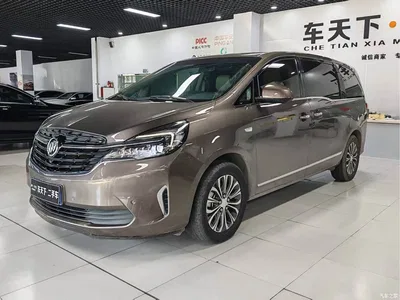 2022 Buick GL8 Land Business Class 652T Prestige, фото 1, лот 10254347