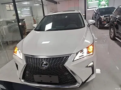 2016 Lexus RX 300 2WD Elite Edition (China V), фото 3, лот 10319385
