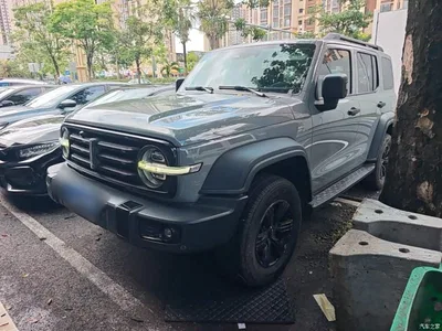 2021 Tank 300 Off-road Edition 2.0T Challenger, фото 1, лот 10345421