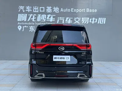 2021 GAC Trumpchi Trumpchi M8 Master Series 390T Flagship, фото 4, лот 10414673