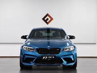 2018 BMW M2 Thunder Edition, фото 2, лот 10594382