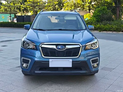 2019 Subaru Forester 2.0i Luxury, фото 2, лот 11582265