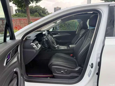 2023 Hongqi H5 2.0T Auto Smart Connect Flagship, фото 4, лот 10287355