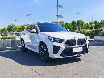 2024 BMW X2 (Import) sDrive25i M Sport Package, фото 3, лот 10429781