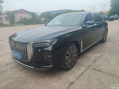 2025 Hongqi H9 2.0T 2WD Qichang Luxury Business Edition 5-seater, фото 1, лот 10448528
