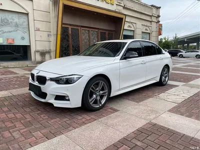 2019 BMW 3 Series 320Li M Sport Black Night Edition, фото 1, лот 11188804