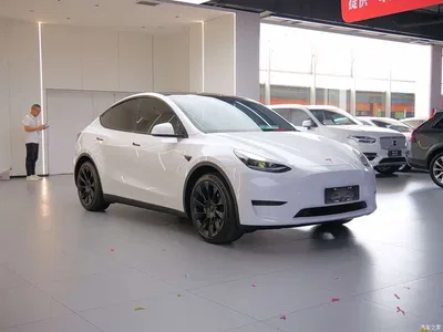 2022 Tesla Model Y Facelift Rear-Wheel Drive Version, фото 3, лот 11191842