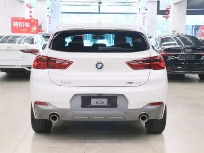 2020 BMW X2 sDrive25i Leading M Off-Road Package, фото 4, лот 10425523