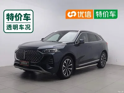 2021 WEY Mocha 2.0T 2WD Extra Rich Edition, фото 1, лот 11188382