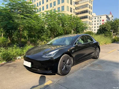 2020 Tesla Model 3 Standard Range Rear-Wheel Drive Upgrade, фото 1, лот 10826379