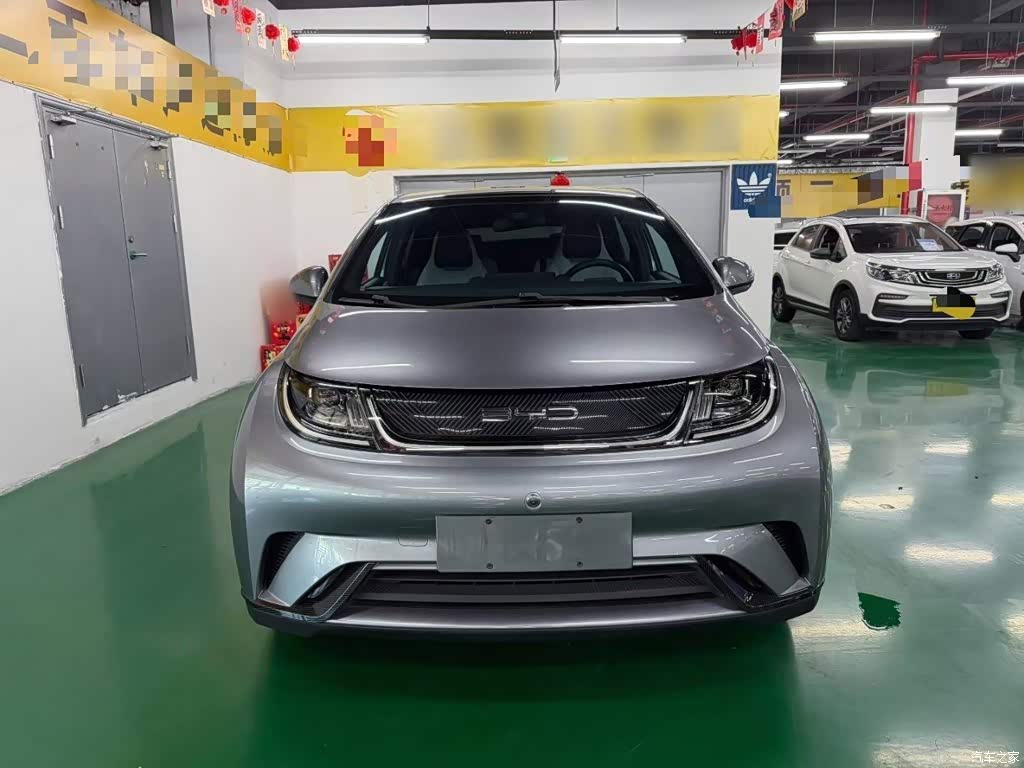 2021 BYD Dolphin Model 405km Fashion Edition, фото 3, лот 11211606