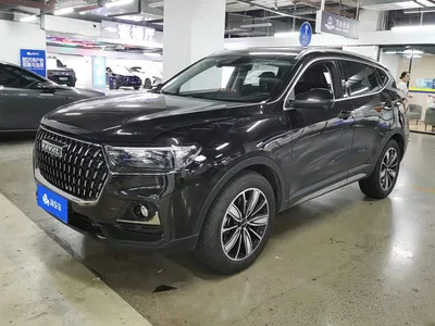 2023 Haval H6 National Trend Edition 1.5T Automatic Champion, фото 2, лот 10283818