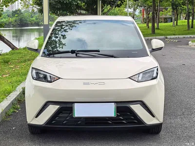 2023 BYD Seagull Vitality Edition, фото 2, лот 11136791