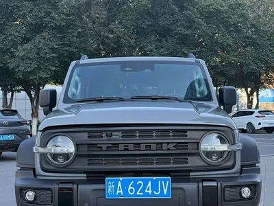 2023 Tank 300 Off-Road Edition 2.0T Challenger, фото 1, лот 10343986