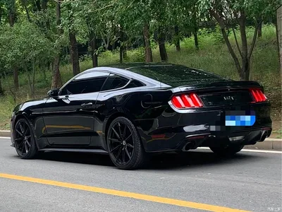 2017 Ford Mustang 2.3T Performance Edition, фото 4, лот 10296609