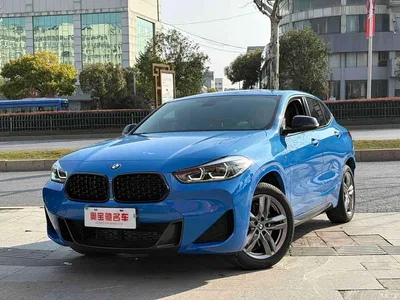 2023 BMW X2 sDrive25i M Sport Shadow Edition, фото 1, лот 10432672