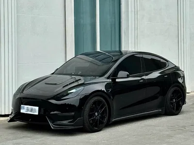 2022 Tesla Model Y Rear-Wheel Drive Version, фото 1, лот 10401906