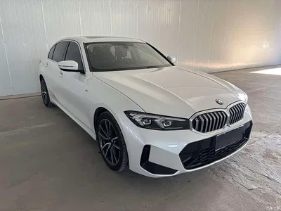 2023 BMW 3 Series 320Li M Sport Package, фото 2, лот 10629896