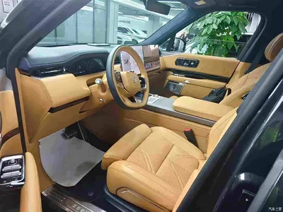 2025 ZEEKR 9X Standard Edition, фото 4, лот 11223488