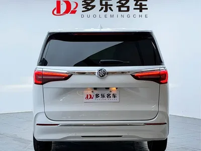 2023 Buick GL8 ES Landmaster Exclusive, фото 3, лот 10253479
