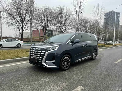 2022 Denza D9 DM-i 970 AWD Flagship, фото 1, лот 10346354