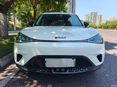 2022 smart Elf #1 Pure+ Edition, фото 2, лот 10343593