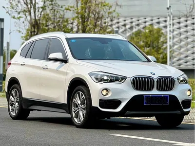 2019 BMW X1 sDrive20Li Leading Model, фото 4, лот 10465089