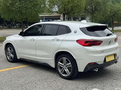 2020 BMW X2 sDrive25i Leading M Sport Package, фото 4, лот 11195655
