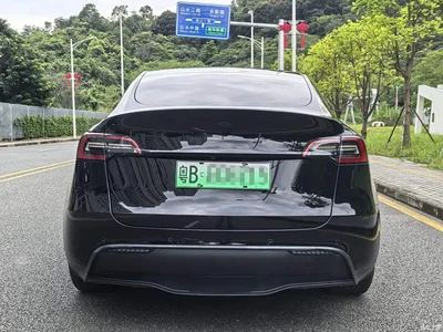 2022 Tesla Model Y Rear-Wheel Drive Version, фото 4, лот 11546913