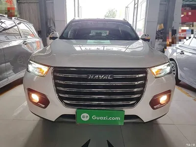 2020 Haval H6 1.5GDIT Automatic Platinum Champion Edition, фото 3, лот 10285507