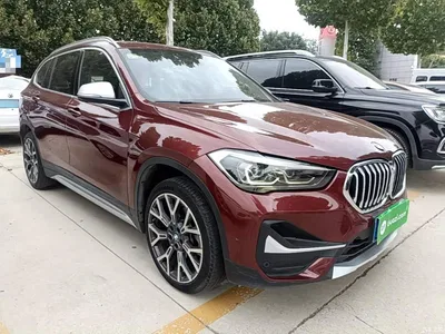 2021 BMW X1 xDrive25Li Exclusive, фото 4, лот 11247755
