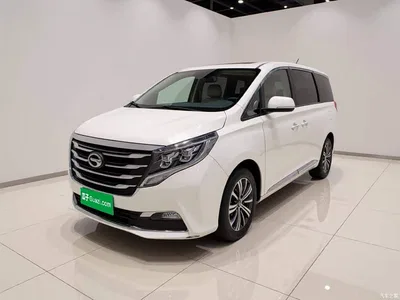 2018 GAC Trumpchi Trumpchi M8 320T Premium Edition, фото 1, лот 10625969