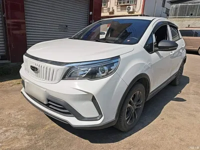 2021 Geely EX3 Kung Fu Bull Strong Bull, фото 1, лот 11568860