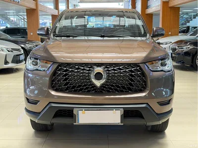 2023 Great Wall Pao 2.0T Commercial Auto Diesel 2WD Elite Standard Box GW4D20M, фото 2, лот 10364248