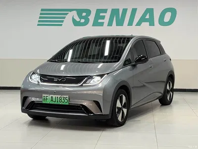 2023 BYD Dolphin 420km Fashion Edition, фото 1, лот 10251959